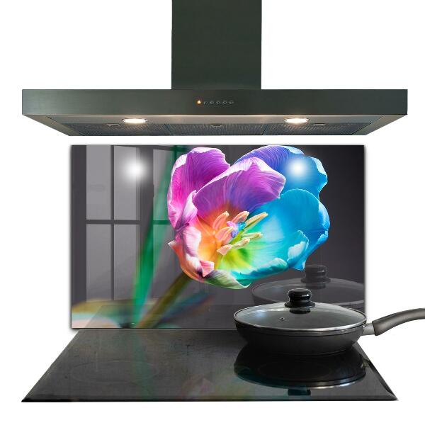 Kitchen splashback Colorful rainbow flower