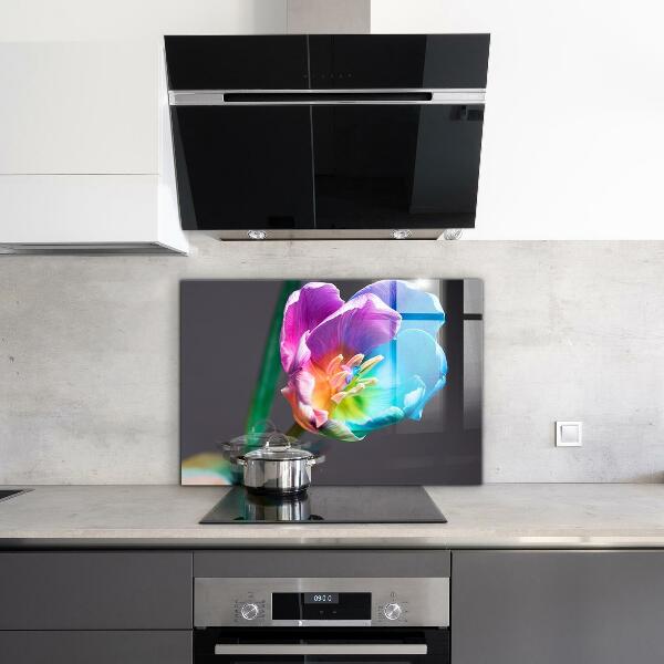 Kitchen splashback Colorful rainbow flower