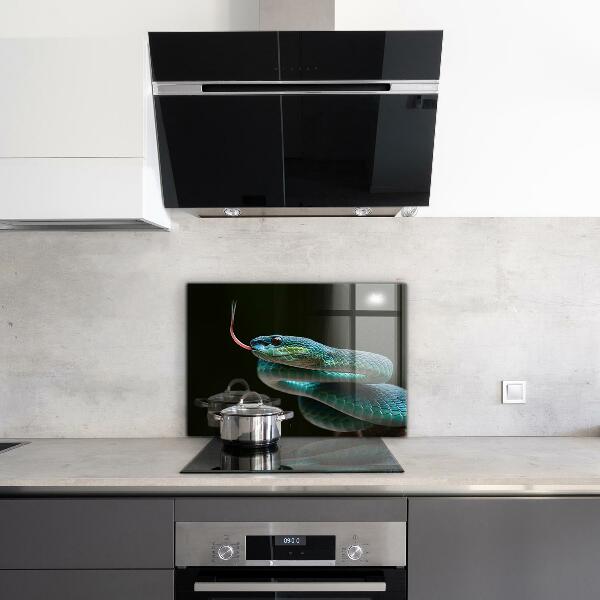 Kitchen splashback Snake wildlife