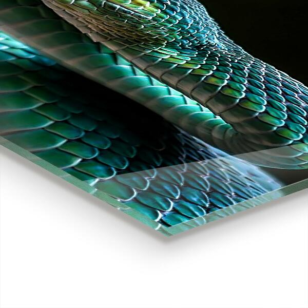 Kitchen splashback Snake wildlife