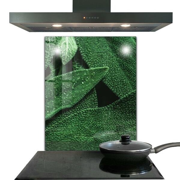 Kitchen splashback Green leaves after rain