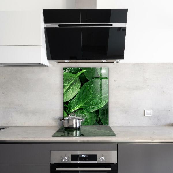Kitchen splashback Spinach leaves health
