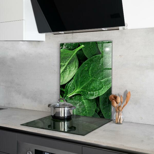 Kitchen splashback Spinach leaves health