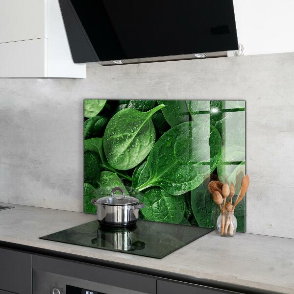 Kitchen splashback Spinach leaves health