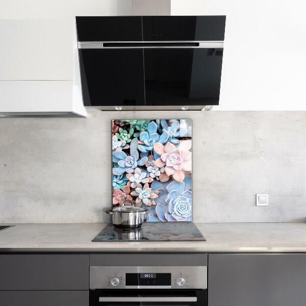 Kitchen splashback Colorful succulents