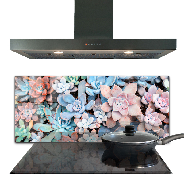 Kitchen splashback Colorful succulents