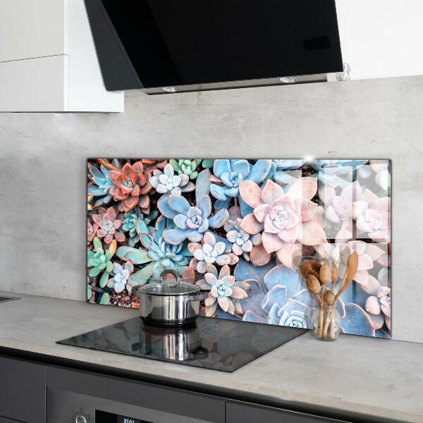 Kitchen splashback Colorful succulents
