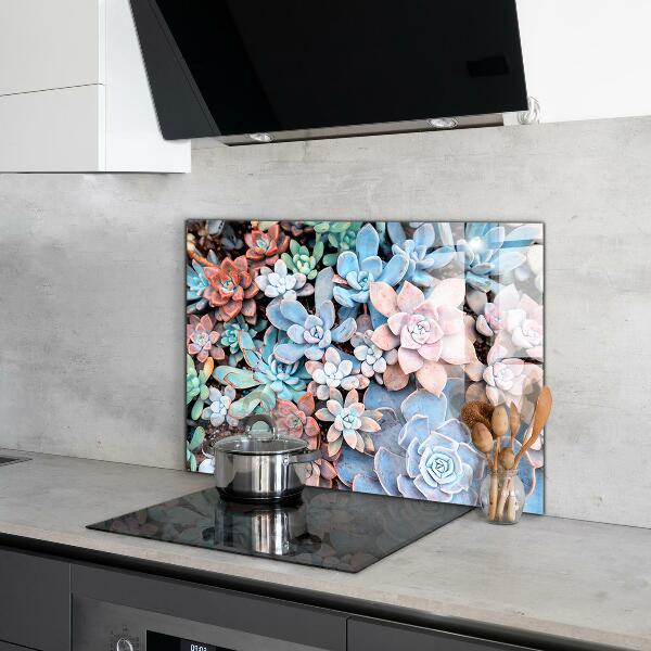 Kitchen splashback Colorful succulents