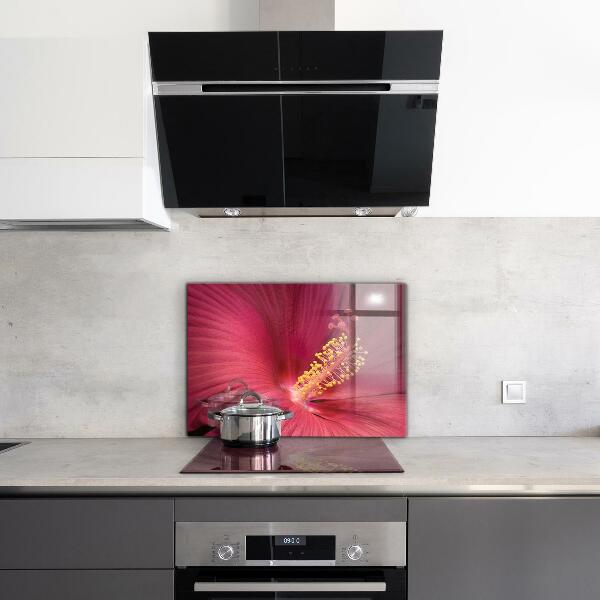 Kitchen splashback Pink hibiscus