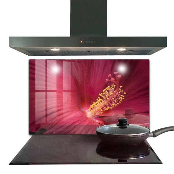 Kitchen splashback Pink hibiscus