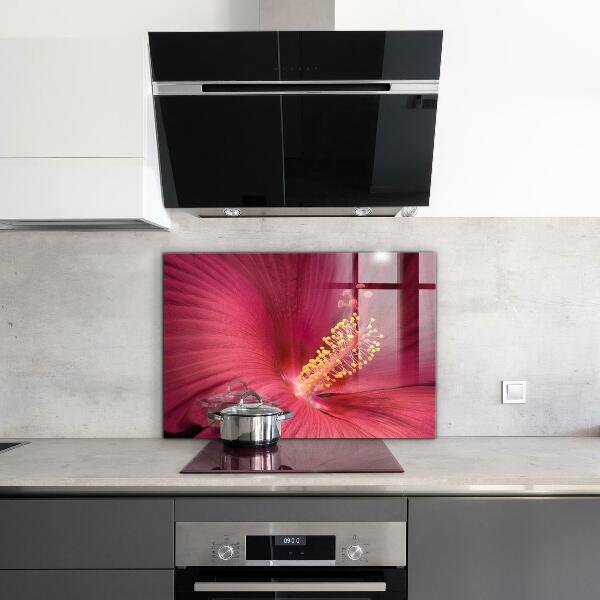 Kitchen splashback Pink hibiscus