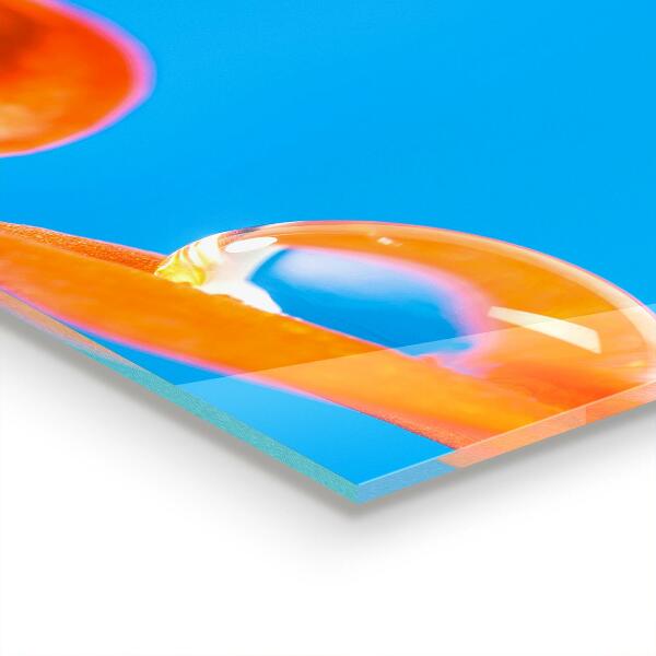 Kitchen splashback Orange flower