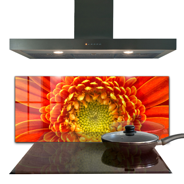 Kitchen splashback Orange gerbera flower