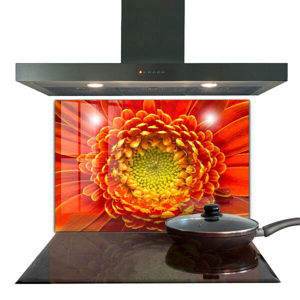 Kitchen splashback Orange gerbera flower