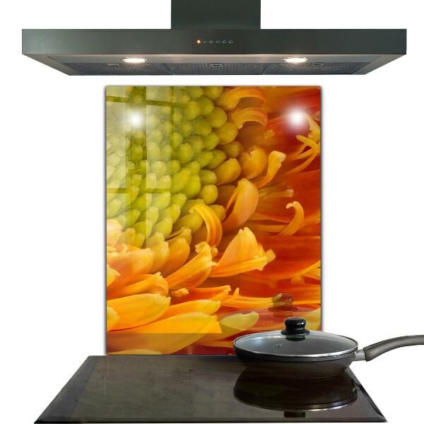 Kitchen splashback Gerbera flower orange