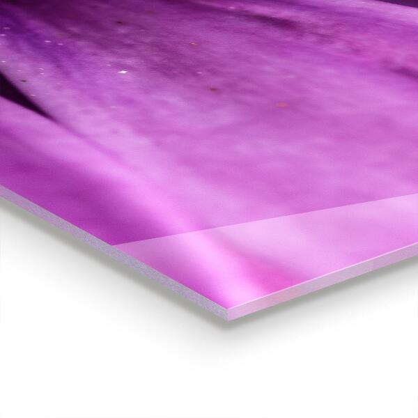 Kitchen splashback Purple summer flower