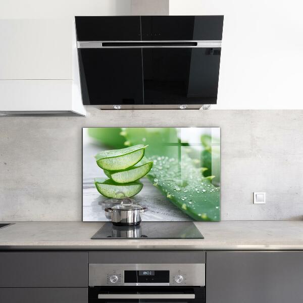 Kitchen splashback Aloe aloe vera plant