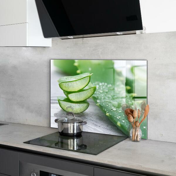 Kitchen splashback Aloe aloe vera plant