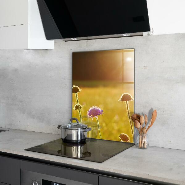 Kitchen splashback Summer flowering meadow