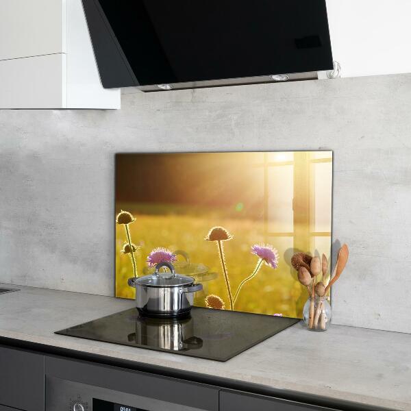 Kitchen splashback Summer flowering meadow