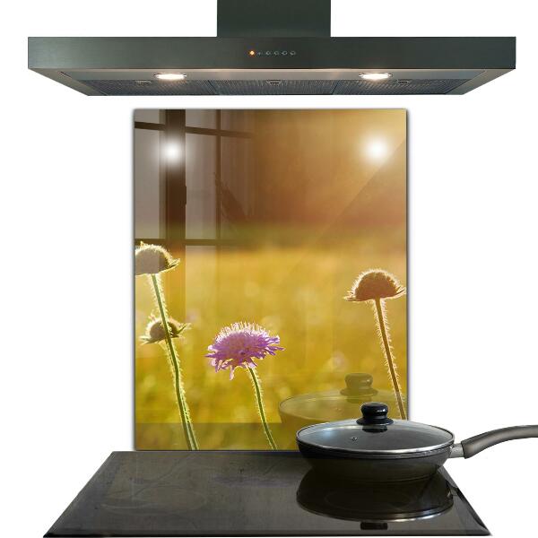 Kitchen splashback Summer flowering meadow