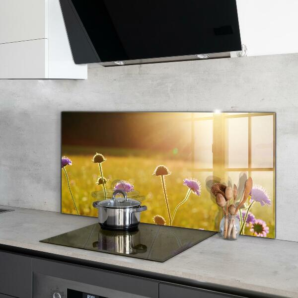 Kitchen splashback Summer flowering meadow