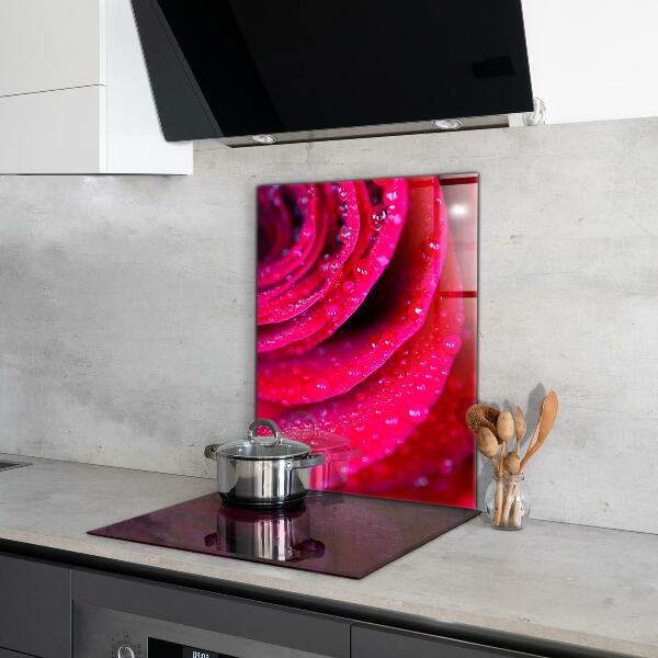 Kitchen splashback Rose symbol of love