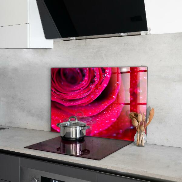 Kitchen splashback Rose symbol of love