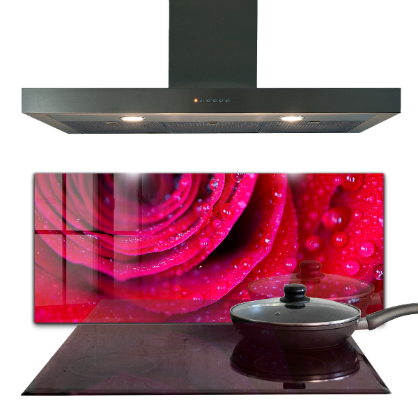 Kitchen splashback Rose symbol of love