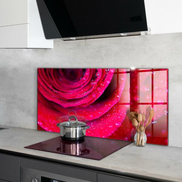 Kitchen splashback Rose symbol of love