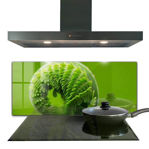 Kitchen splashback Green fern leaf