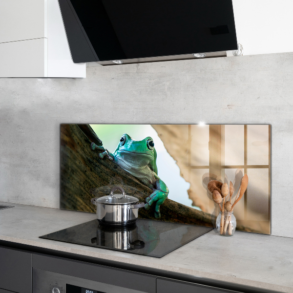 Kitchen splashback Curious frog on a leaf