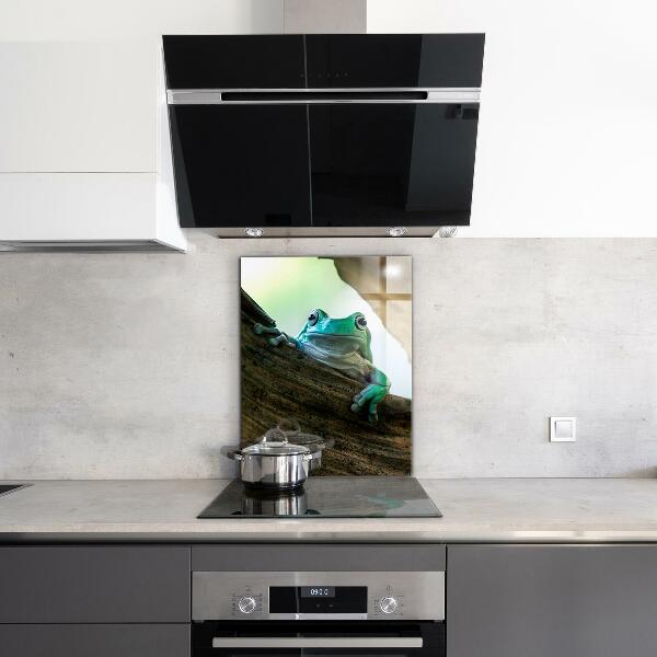 Kitchen splashback Curious frog on a leaf