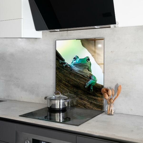 Kitchen splashback Curious frog on a leaf