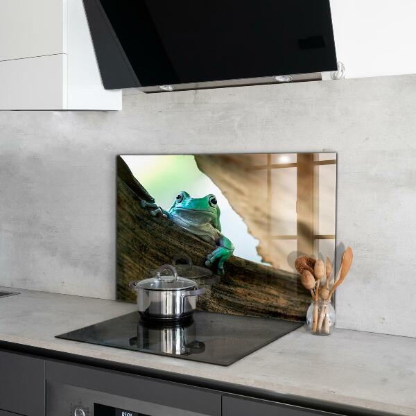 Kitchen splashback Curious frog on a leaf