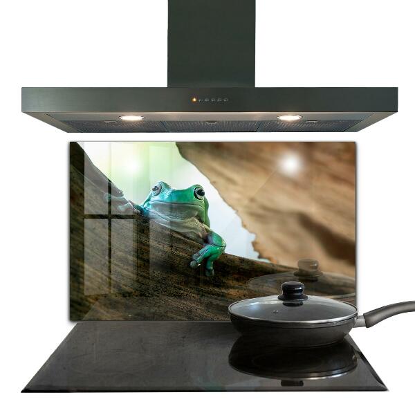Kitchen splashback Curious frog on a leaf