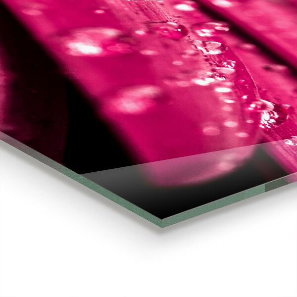 Kitchen splashback Pink plant flower