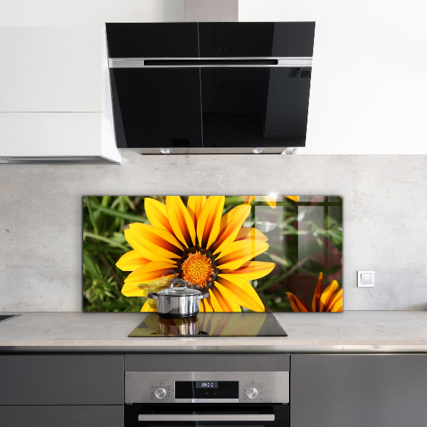 Kitchen splashback Yellow flower in the meadow