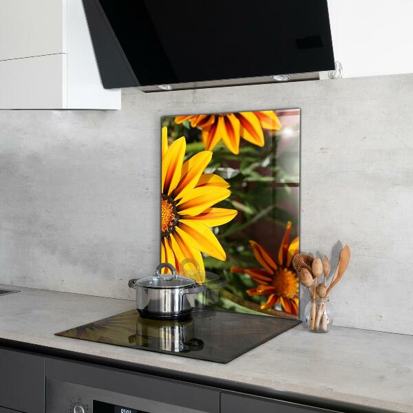 Kitchen splashback Yellow flower in the meadow