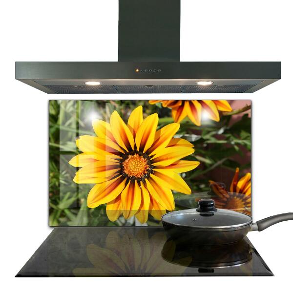 Kitchen splashback Yellow flower in the meadow