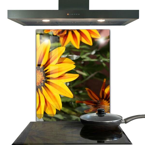 Kitchen splashback Yellow flower in the meadow