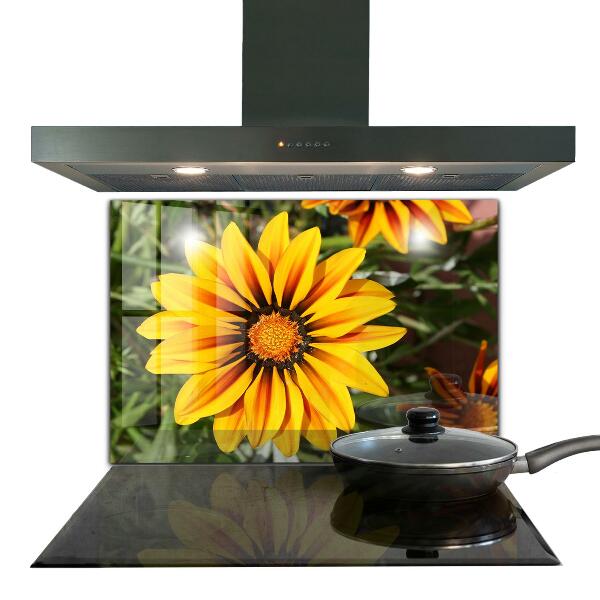Kitchen splashback Yellow flower in the meadow