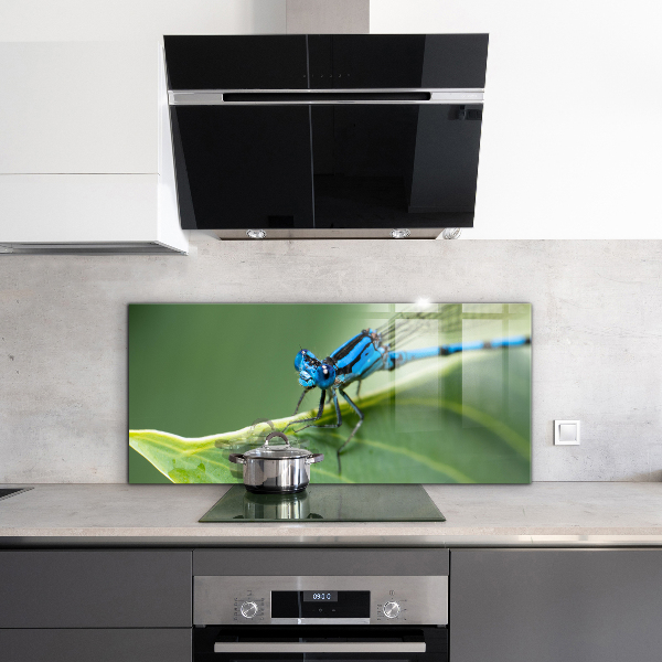 Kitchen splashback Dragonfly on leaf
