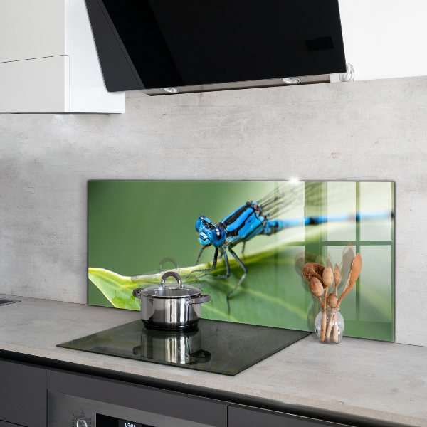 Kitchen splashback Dragonfly on leaf