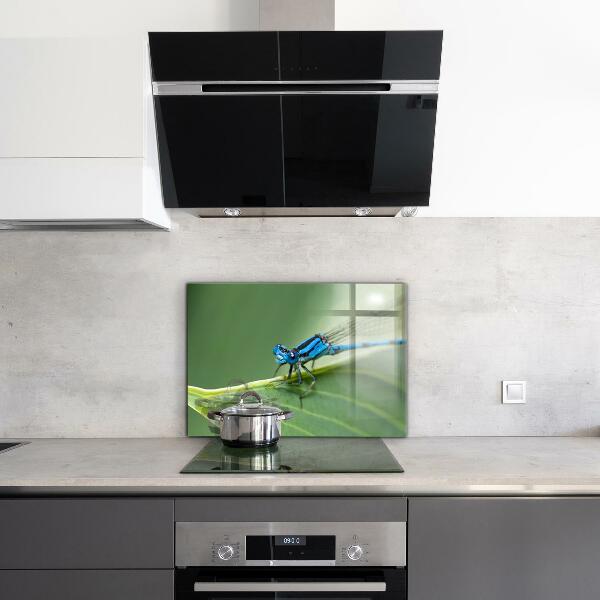 Kitchen splashback Dragonfly on leaf
