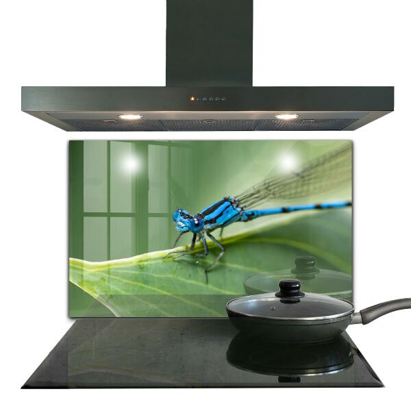 Kitchen splashback Dragonfly on leaf