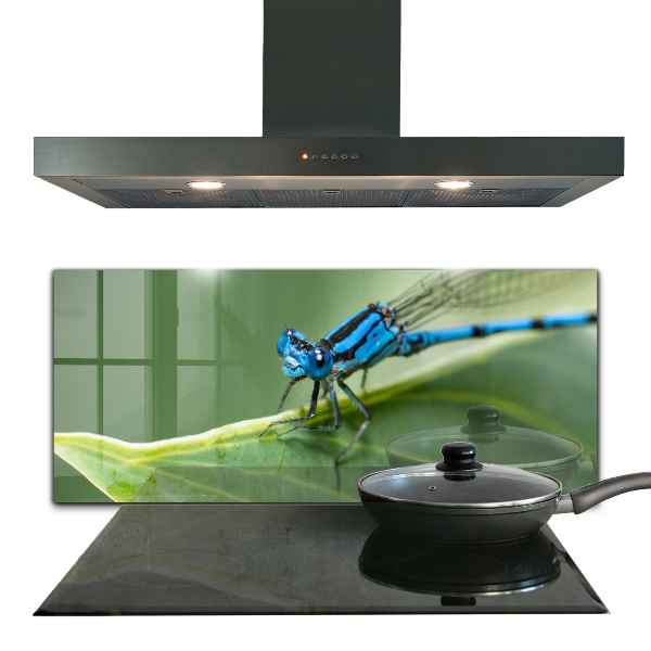 Kitchen splashback Dragonfly on leaf