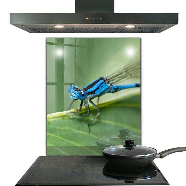 Kitchen splashback Dragonfly on leaf