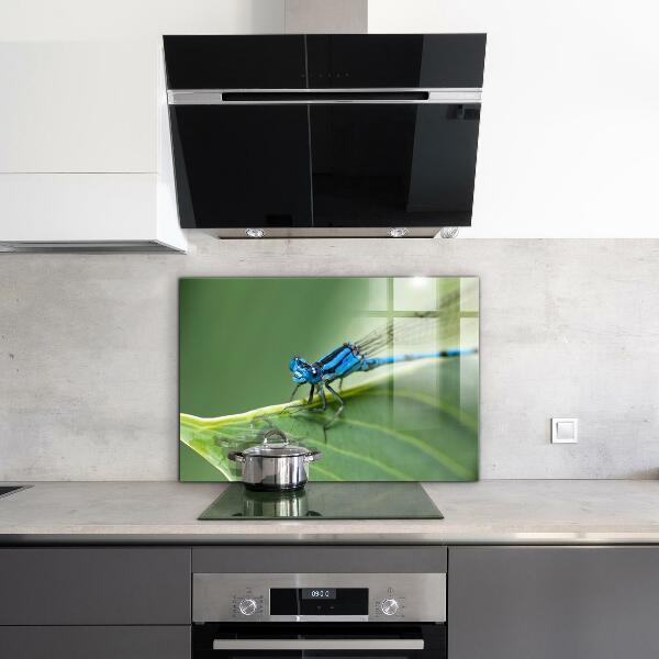 Kitchen splashback Dragonfly on leaf