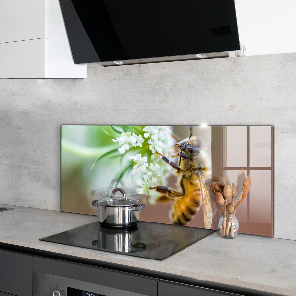 Kitchen splashback Bee collecting pollen